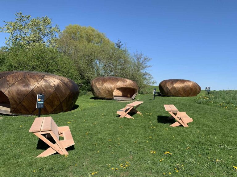 stargazing picnic1