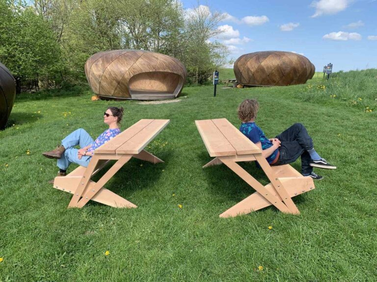 stargazing picnic5